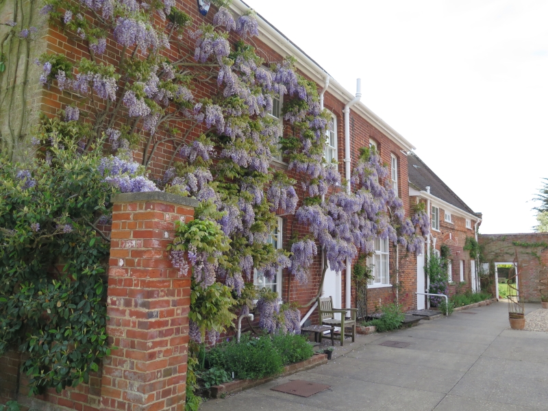 The Red House